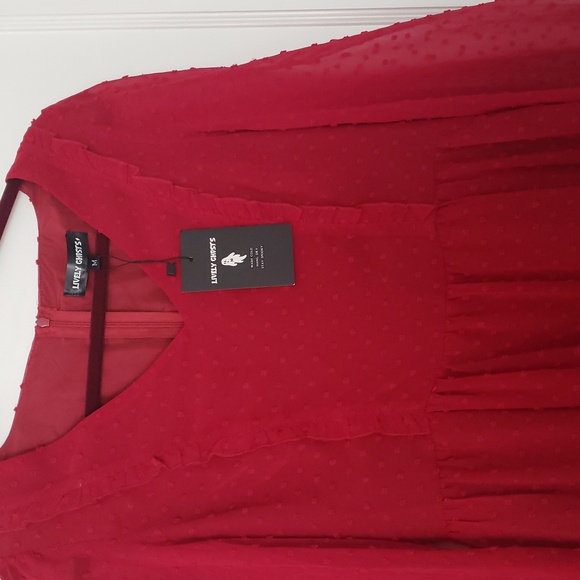 Lively Ghosts Red Dress - Picture 3 of 3